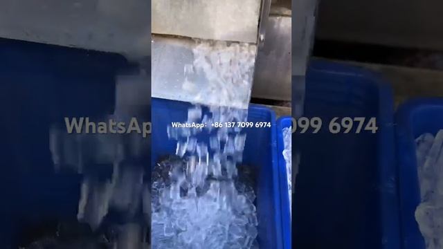 Tube ice producing machine Máquina de tubos de hielo Машина для производства ледяных труб смотреть онлайн