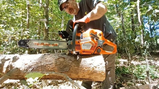 Which is Faster Stihl, Husqvarna, Oregon and Forester ? смотреть онлайн
