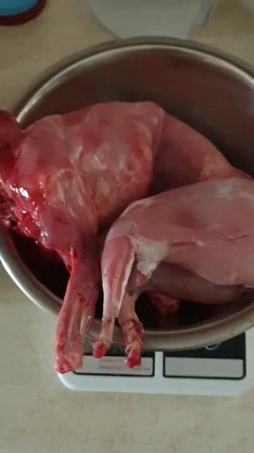 Вес тушки 4х месячного кролика#YouTubeUA#кролики#короткое_видео смотреть онлайн