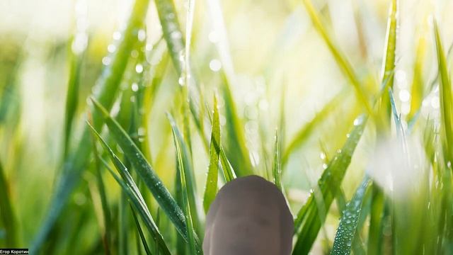 Каналы самого умного человека и мастерицы на все руки. смотреть онлайн