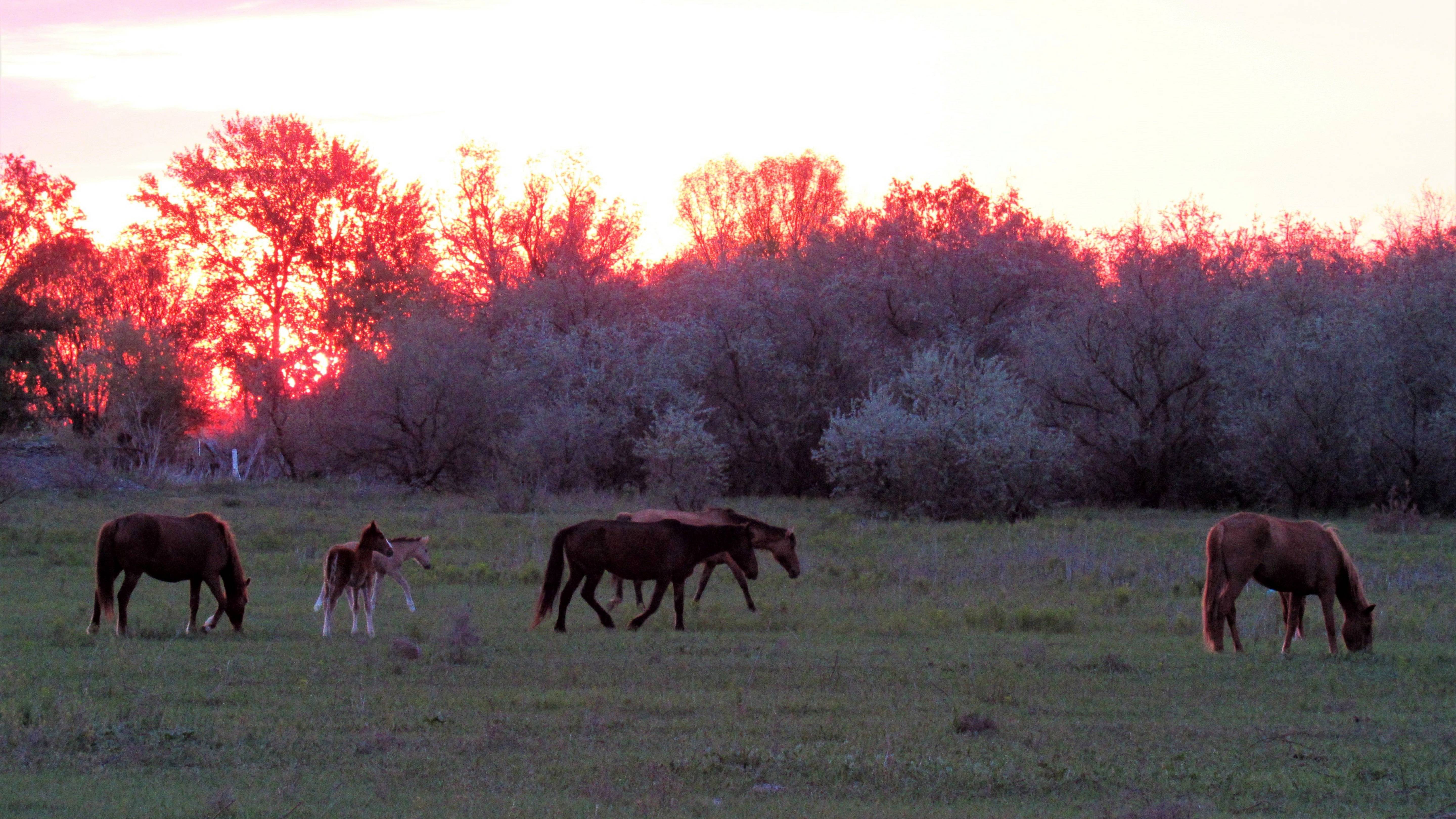 Первомайские фотопейзажи Астраханской области(2022 год) смотреть онлайн