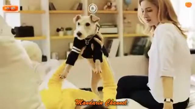 ТОП САМЫХ НЕВЕРОЯТНЫХ ВИДЕО МИРА! Это Потрясное Видео! Это Видео Потрясло Весь Мир! смотреть онлайн