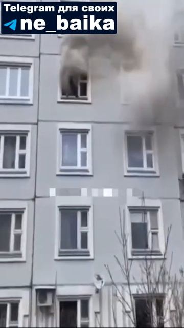 Храбрая девочка из Москвы не забыла спасти своих питомцев когда начался пожар смотреть онлайн