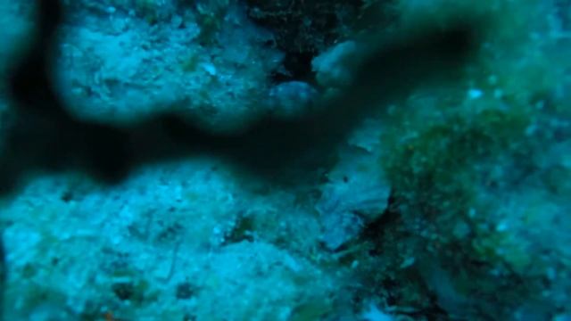 Jupiter 2017 04 26 смотреть онлайн