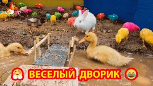 Цветные Цыплята с  Утятами и Кроликом на мостиках у лужи ❣️🤗😂 Весело 😍
