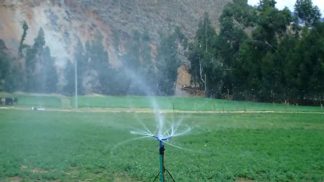 aspersor dap modelo 018 смотреть онлайн