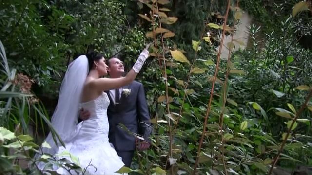 Свадебный видеоклип. Осенняя прогулка жениха и невесты. смотреть онлайн