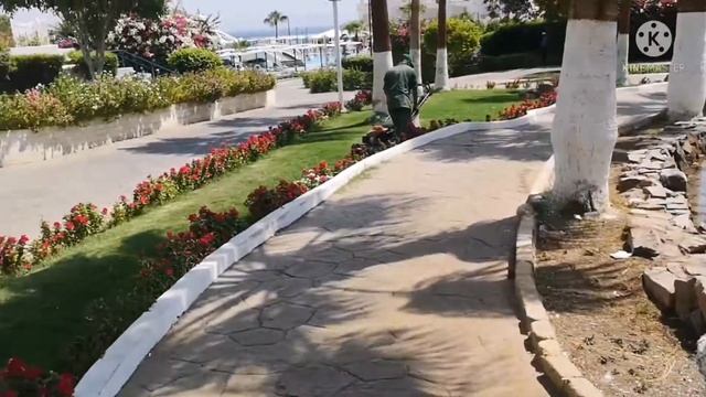 Egypt Dreams Beach Resorts Sharm El Sheikh 2021 смотреть онлайн