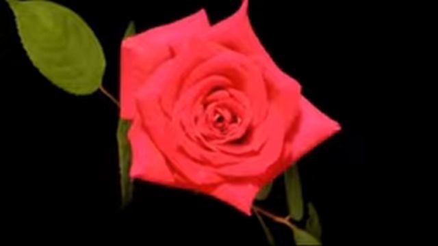 Монолог о любви смотреть онлайн