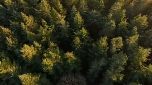 Earth Day A1-A2 video | The Environment