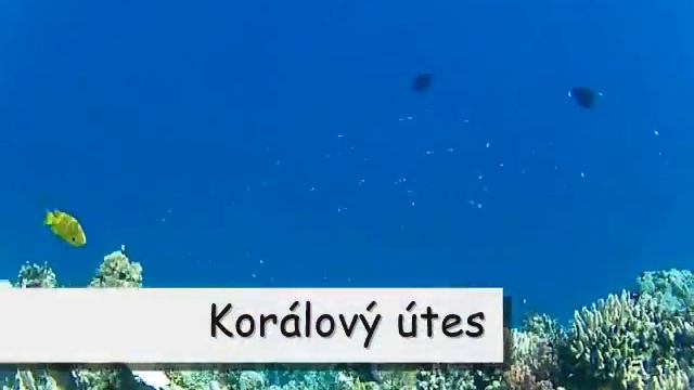 Egypt - Marsa Alam 2017 - Aurora Oriental Bay Resort смотреть онлайн