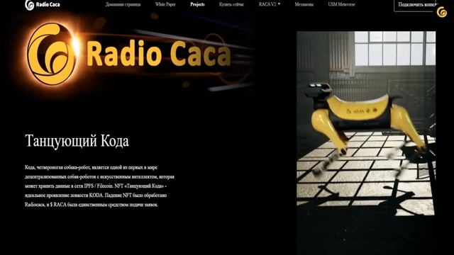 Radiocaca виртуальный космос в деле
