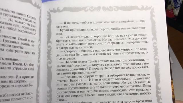 Коты-воители «Стань диким» 19.2. Book👍🏼еды.