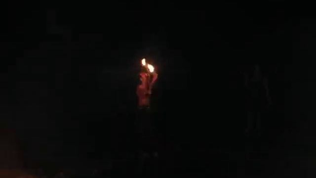 палмы струна.AVI смотреть онлайн