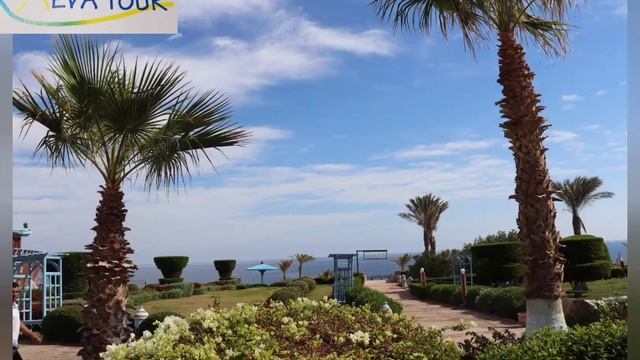 Egypt - Marsa Alam - Dreams Beach Resort смотреть онлайн