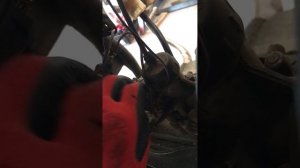 Пропала искра на ИЖ Планета 5😁