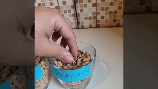 Test peletu Olimp - Barlinek cz.2 Piec na pelet Kostrzewa EEI PELLETS 12KW Z PALNIKIEM VG смотреть онлайн