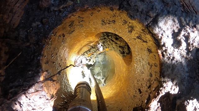 Blocked Drain 441 смотреть онлайн