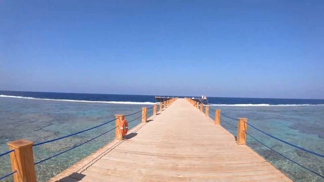 Albatros Sea World Marsa Alam смотреть онлайн