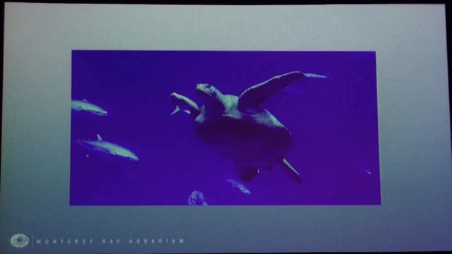 «Открытые моря – новая экспозиция» Джон Хок, аквариум Монтерея, Калифорния, США