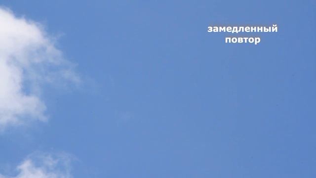 НЛО ролик 017 смотреть онлайн