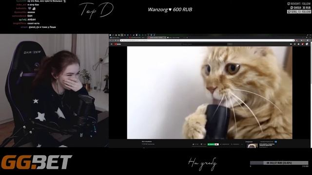ELLVI Смотрит : Кот и пылесос смотреть онлайн