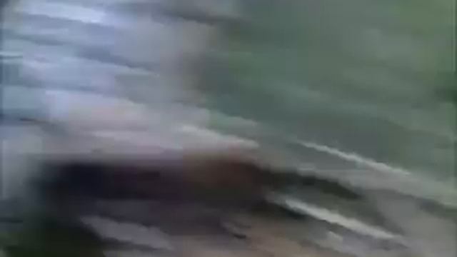 в пальто смотреть онлайн
