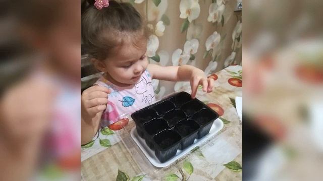 Самоизоляция, сохраним планету вместе!