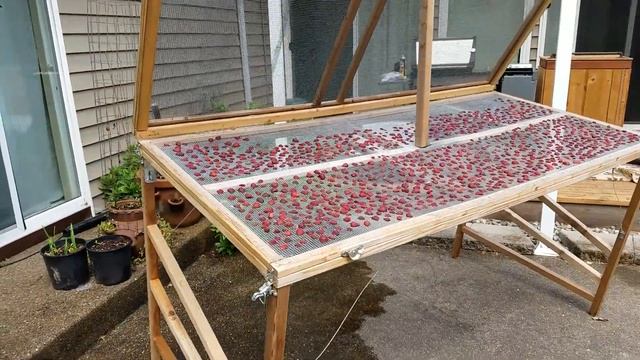 Food Preservation Solar Food Dryer смотреть онлайн