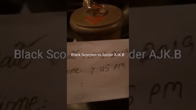 Red Mercury 2020. RM international Red Mercury 27×27. 5 Kg смотреть онлайн