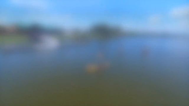 Grills Lakeside Orlando | Paddle-boarding | Spectacular Waterfront Restaurant смотреть онлайн