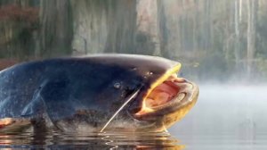 Даша,  домовой и Ко...   31 серия (автор Наталья Меркулова) Мистика. Приключения.