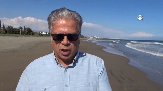Sahillerde ölü göçmen denizanası yoğunluğu yaşanıyor смотреть онлайн