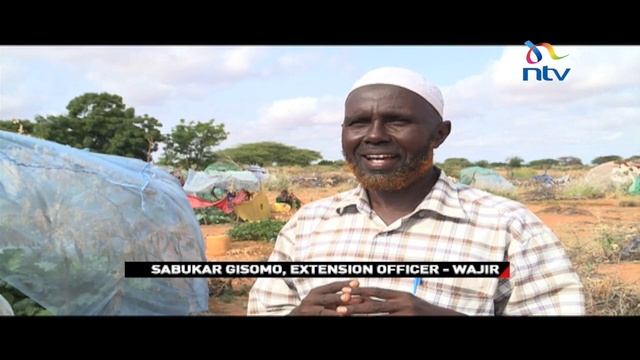 Desert Farming In Wajir Changing Livelihoods