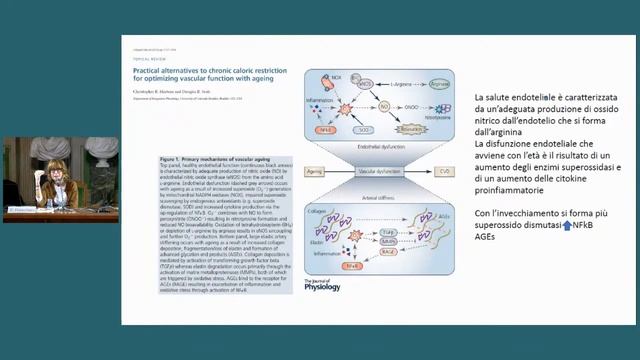 Esiste una dieta per non invecchiare?
