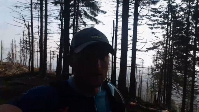 Biegi - Bieg 7 Dolin 64 km 2018 смотреть онлайн
