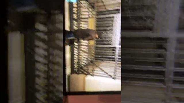 Как взломать Главный банк смотреть онлайн