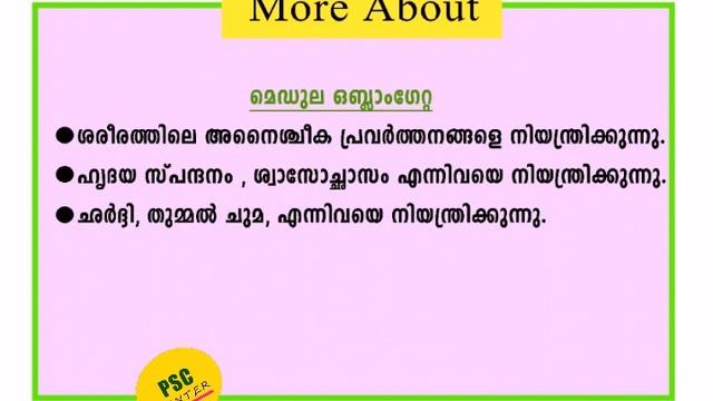 BRAIN_PSC Previous Questions and descriptions for LDC 2020 смотреть онлайн