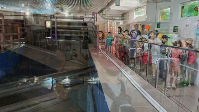 «Саяхатшылар күні»«День путешественника» смотреть онлайн