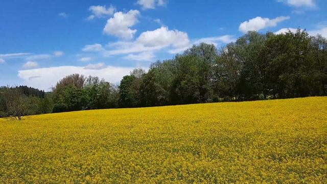 Миләүшә Имашева "Зәңгәр күк" М. Имашева сүзләре һәм көе смотреть онлайн