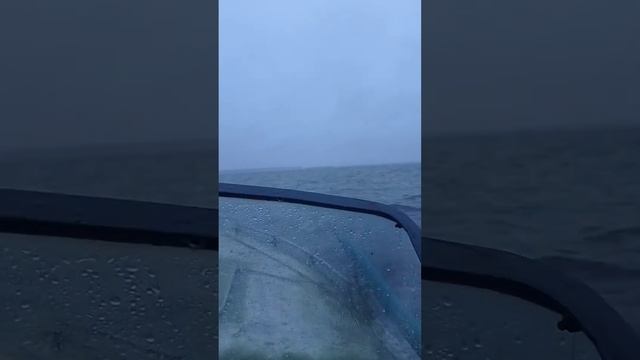 на прогрессе2 в волну. смотреть онлайн
