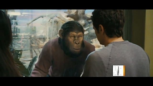 "Apes" hits number one at the box office смотреть онлайн