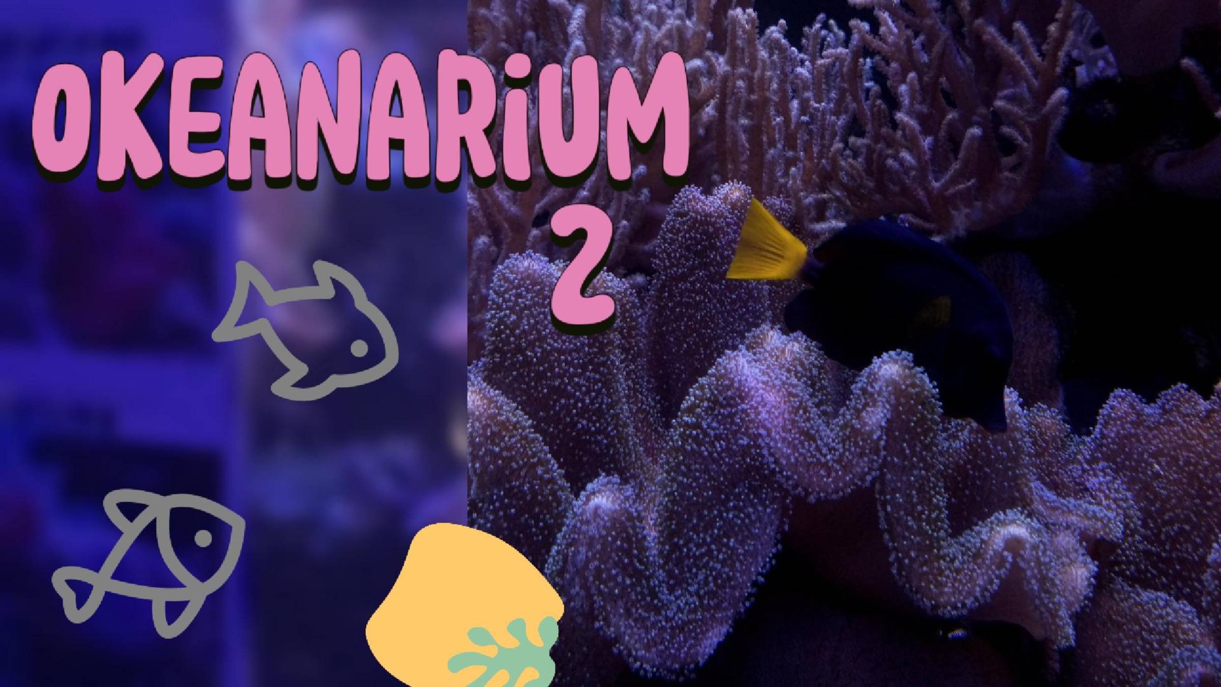 Морская фауна в океанариуме 🐠🐟