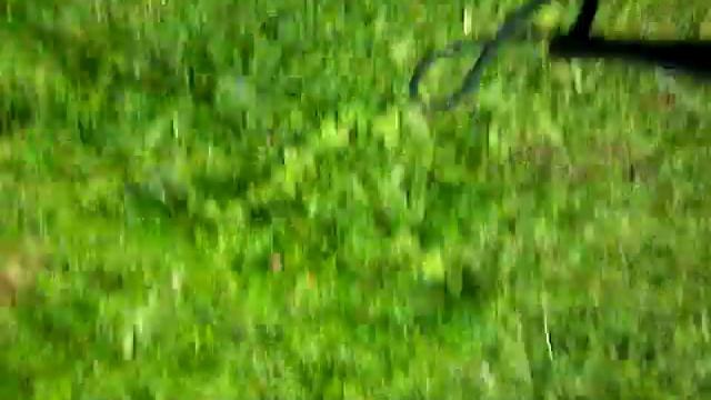 Солнечное затмение 1 смотреть онлайн