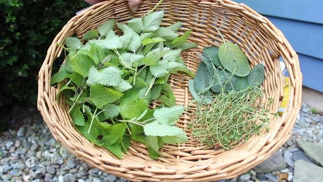 How To Dry & Preserve Herbs | The Medicinal Kitchen смотреть онлайн