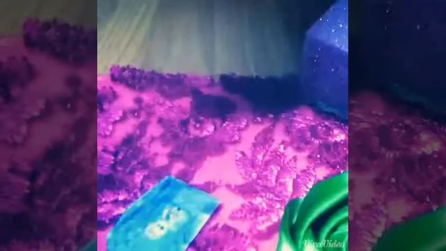 Клип Венера и пежамная вечеринка с Френки