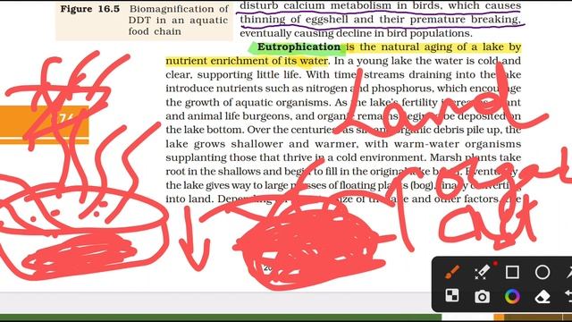 Mission Ncert | Biology Ncert Class 12 | Chapter 16 : Environmental Issues By Dr. Shakul Sir