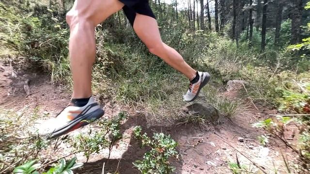 SALOMON HYPULSE RESEÑA / REVIEW