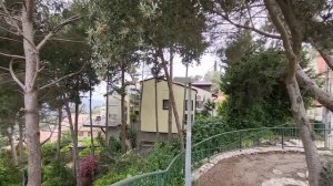 Самые богатые и самые бедные районы в Хайфе