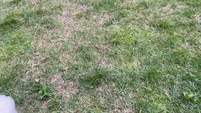 Южная Корея 🏠11 мая/Наша суббота/Дождь и холод/Что с верандой/Я не огородник/Спасибо за советы